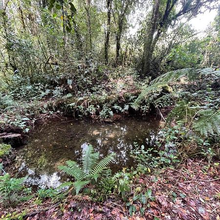 La Bromelia/Cabana De Montana, Cerro De La Muerte. Villa Cartago Kültér fotó