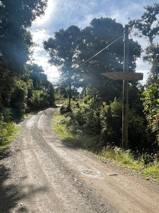 La Bromelia/Cabana De Montana, Cerro De La Muerte. Villa Cartago Kültér fotó